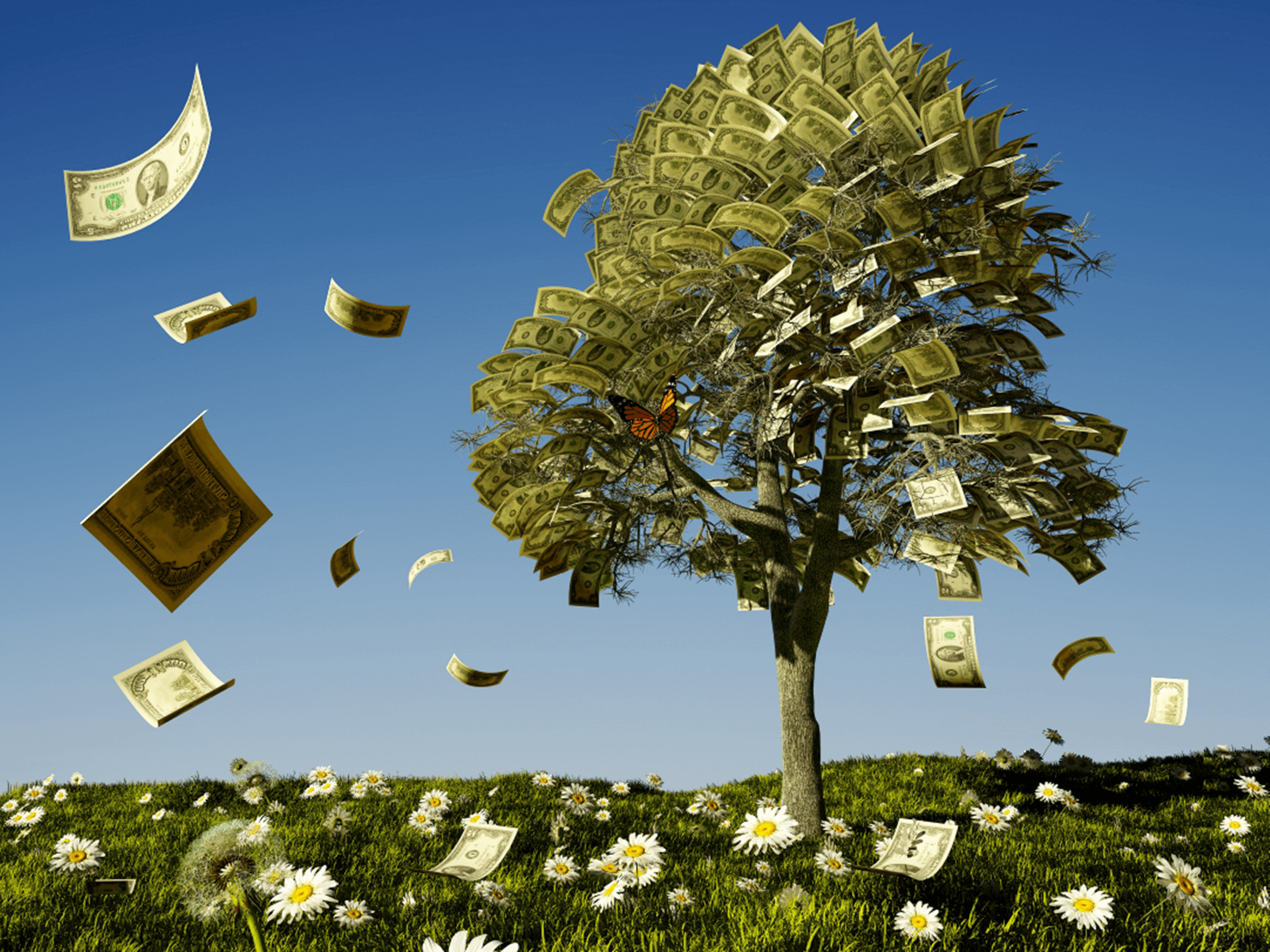 Money growing on sale on trees